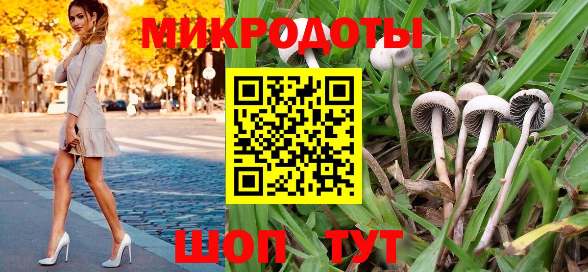 Белая Калитва  Псилоцибиновые грибы GOLDEN TEACHER  Вход с VPN 
